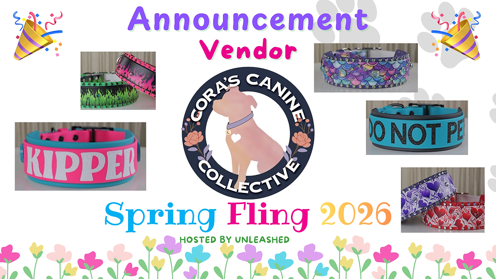 Paws Fur Joy Photography Logo Banner