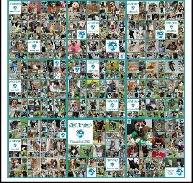 Collage of 457 pets adopted in 2025 through Paws for Life NC