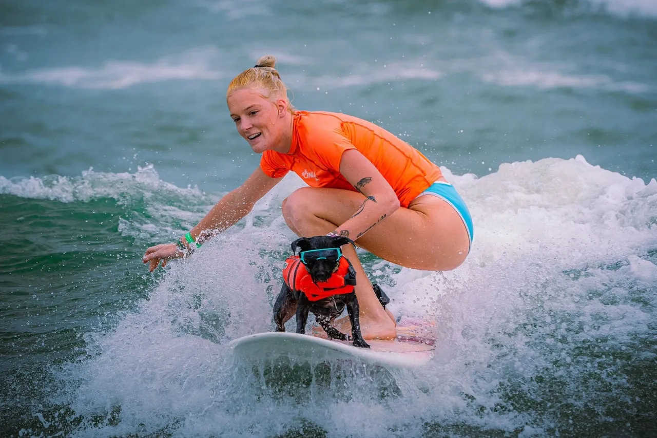Small dog with sunglasses sharing a surfboard with a surfer