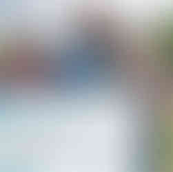 Donation to Rocky's Bridge