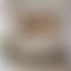 Pet and owner portrait hung above couch