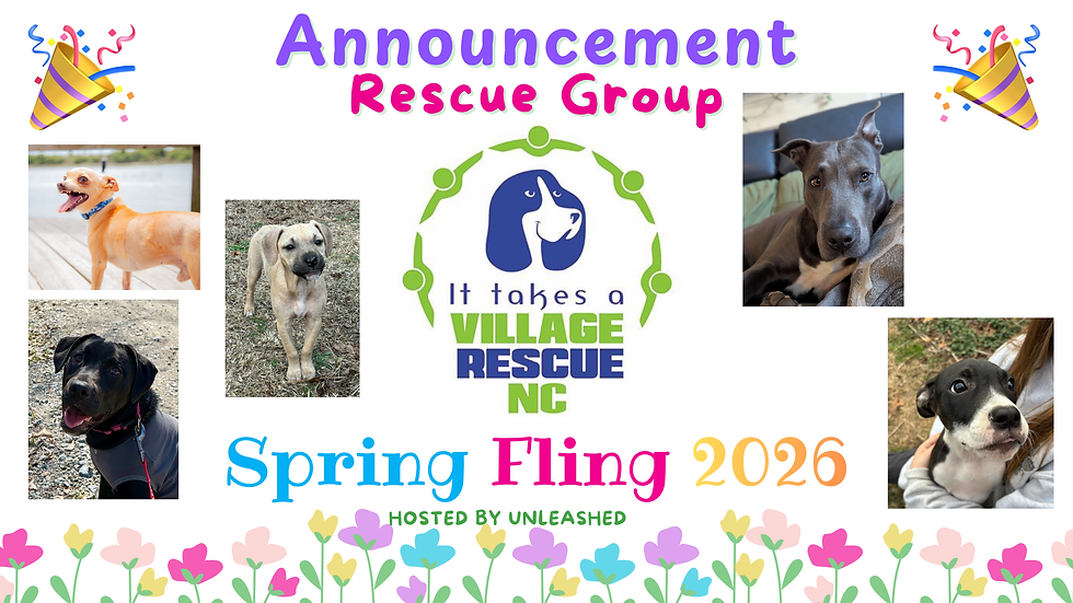 It Takes a Village Rescue NC is coming to Spring Fling!