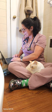 Dr. Hughes performing house call check up on cat in her lap