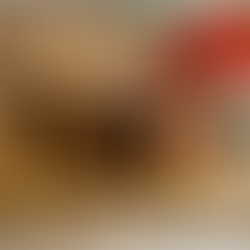 Flying squirrels are nocturnal and while not often seen, are common around the Triangle