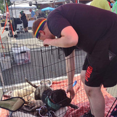 Volunteer petting a puppy at an event