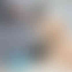 Poodle and pug sporting a Blula collar and harness, respectively