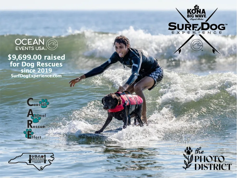 Fundraiser picture of a big dog and surfer on the waves