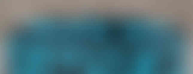 big, bold do not pet collar