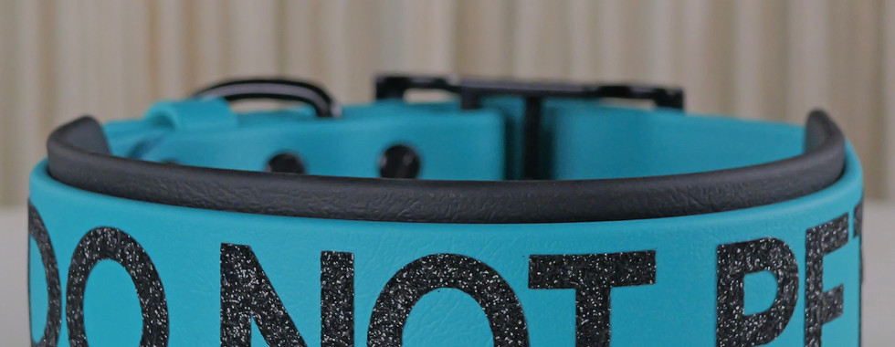 big, bold do not pet collar