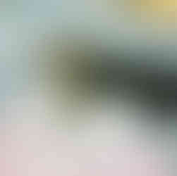 Grey and black tabby cat chilling with a blanket