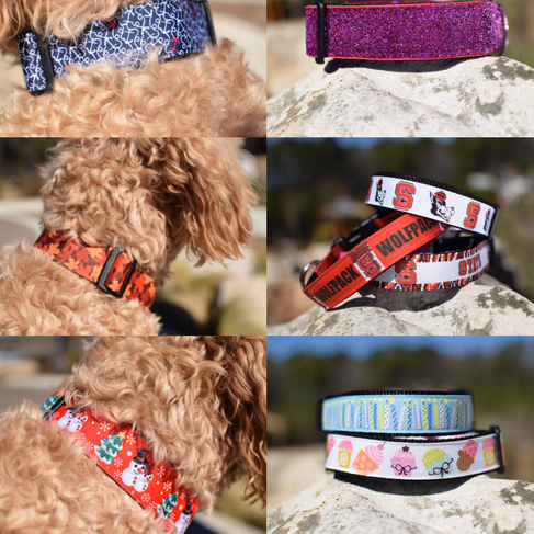 Various Susie Q Collars