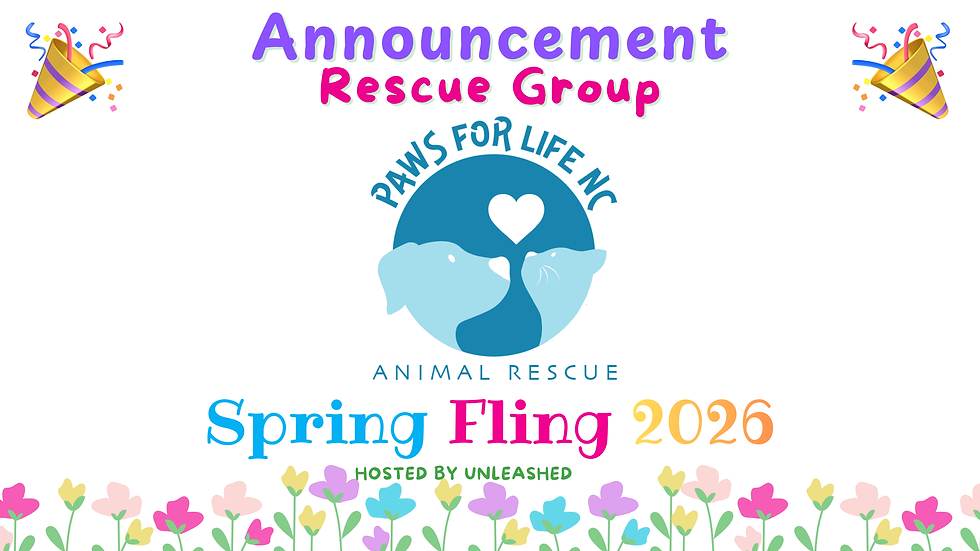 Paws 4 Ever Joins Spring Fling!
