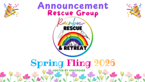 Rainbow Rescue & Retreat Logo Banner