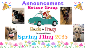 Doxie by Proxy Rescue Logo Banner