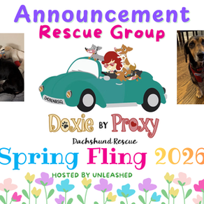 Doxie by Proxy Rescue Logo Banner