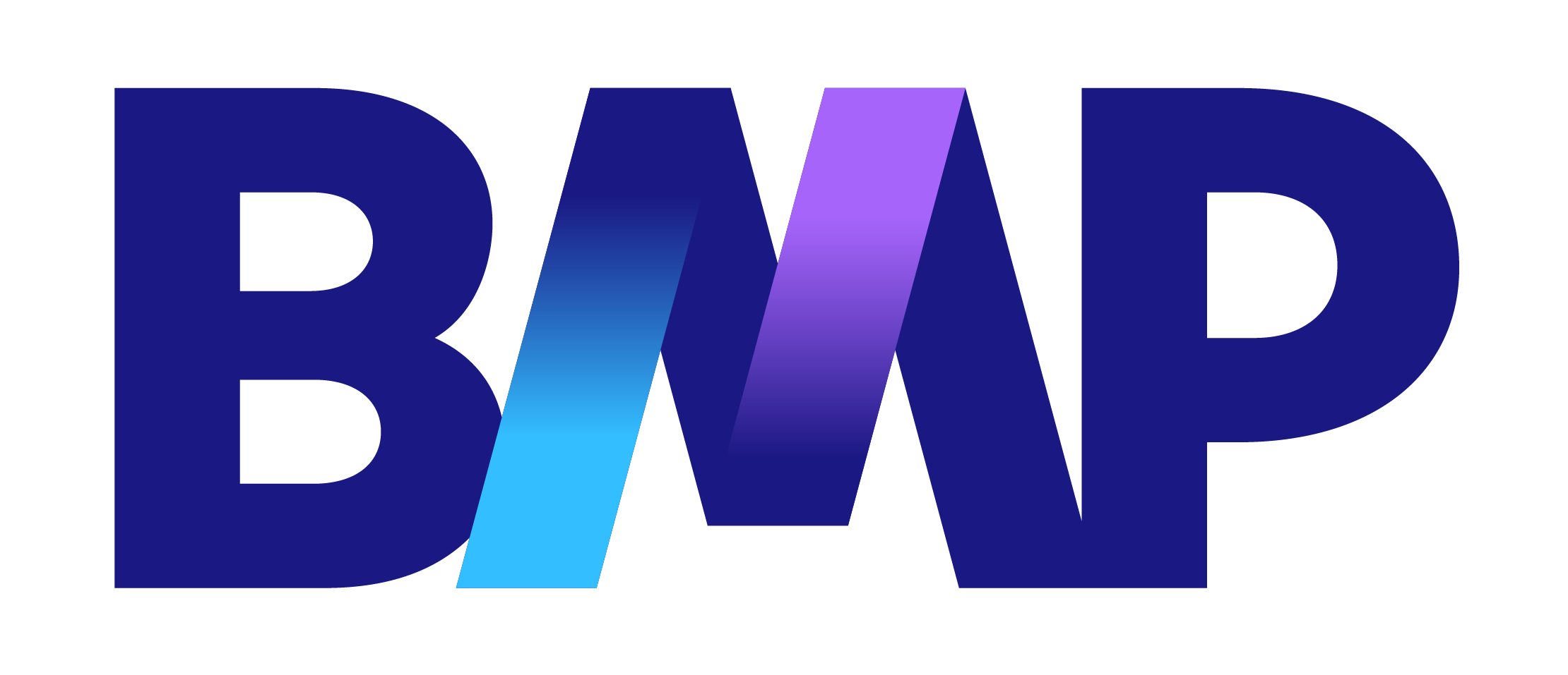 bmp.png