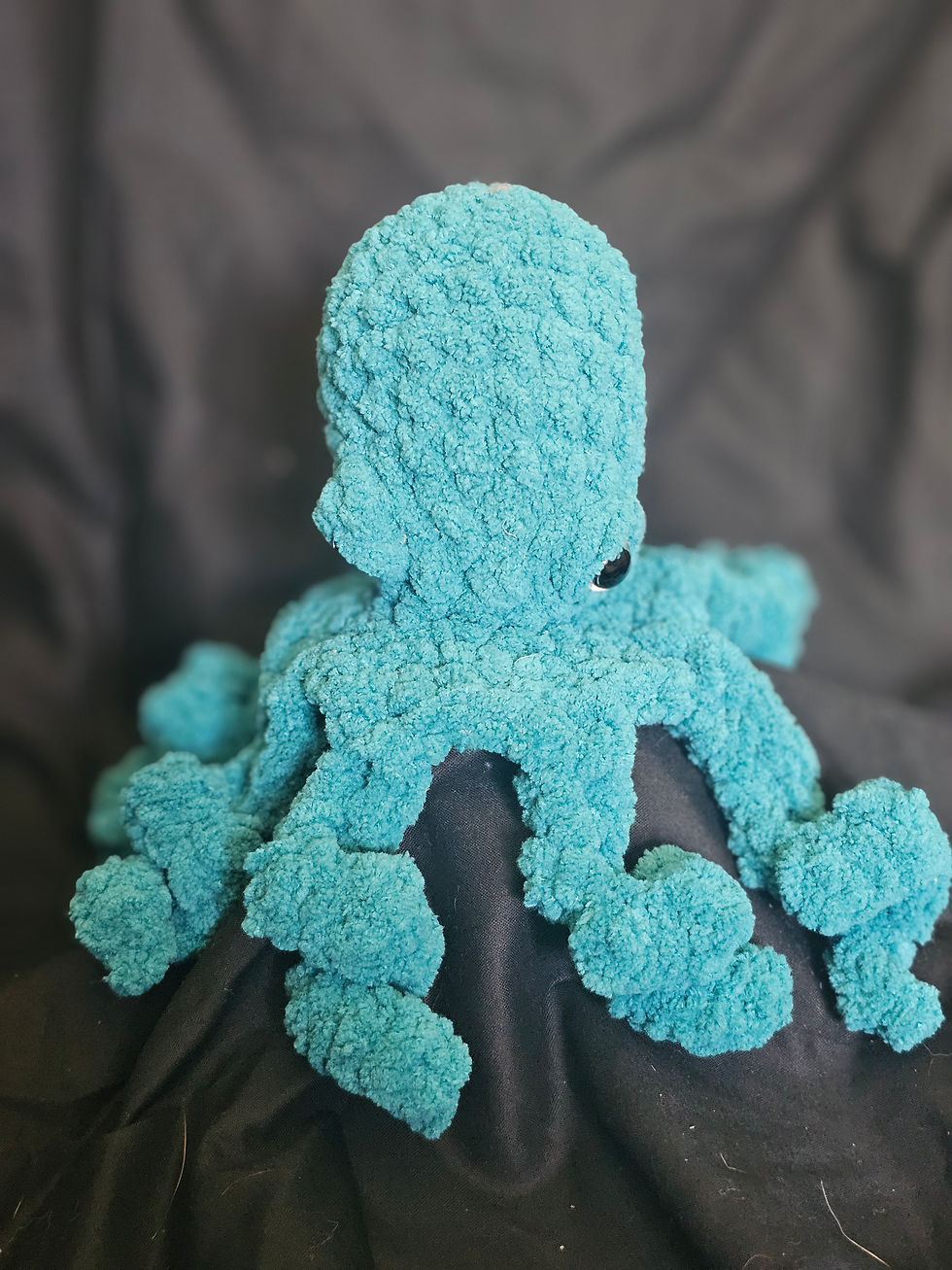 Thumbnail: Octopus