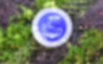 background.jpg