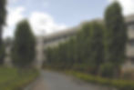 Picture 1.jpg