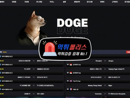 도지(DOGE) 먹튀 토토사이트 양방 핑계로 환전 거부