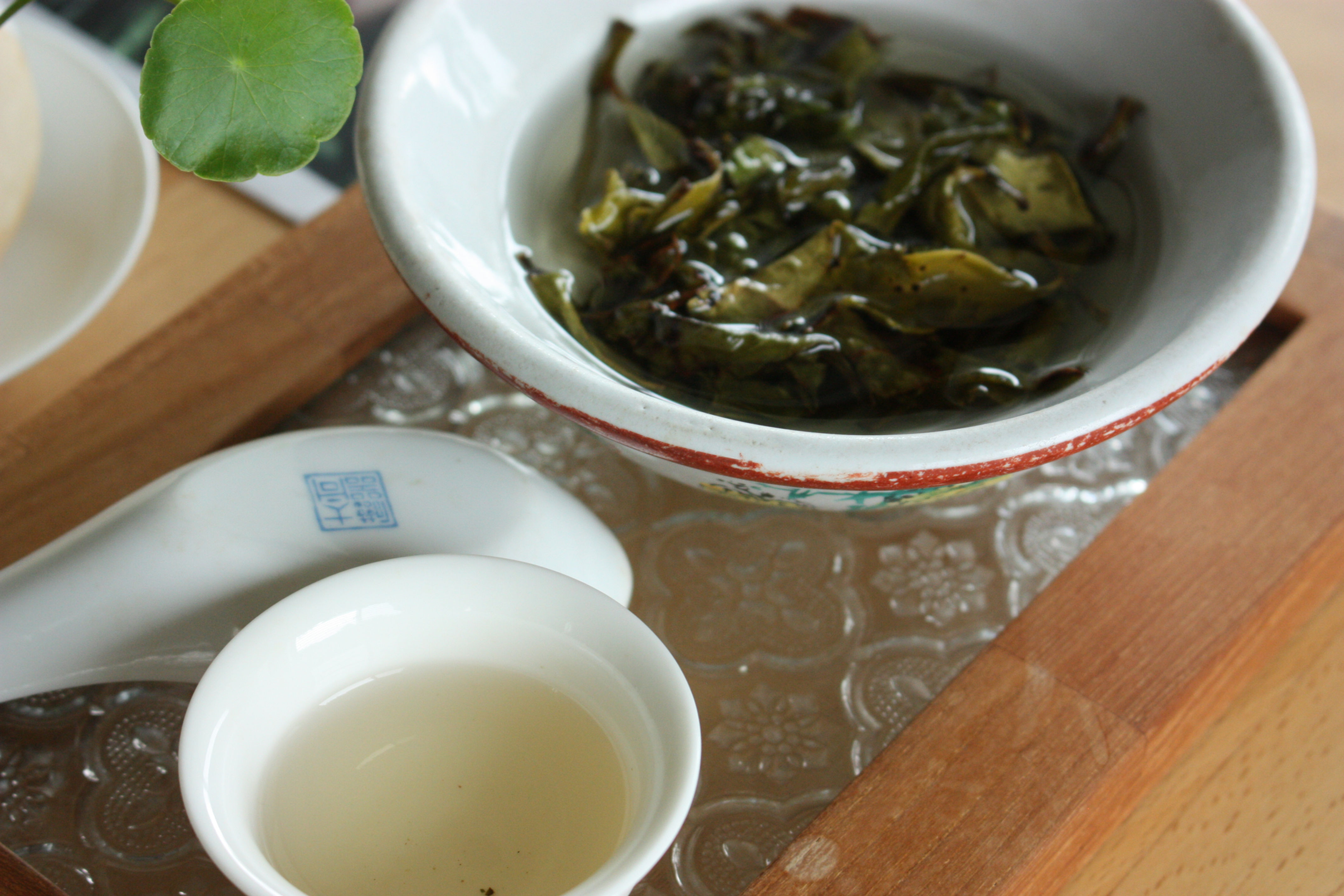 【祥泰茶莊】野放鳳凰単欉蜜香白茶｜Wild Feng Huang Dan Chong Muscatel White Tea