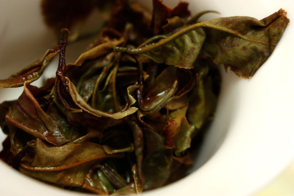 Thumbnail: 【小茶米農園】紅玉白茶｜Ruby (TTES #18) White Tea