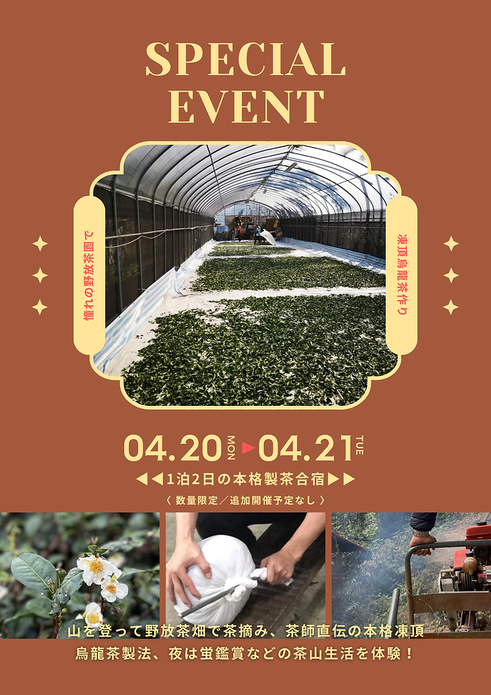 製茶体験ツアー新企画】本格体験！鹿谷の野放茶畑で学ぶ、凍頂烏龍茶
