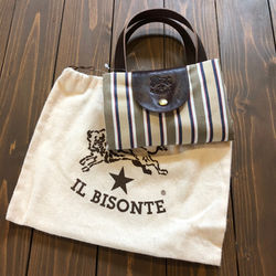 IL BISONTE4