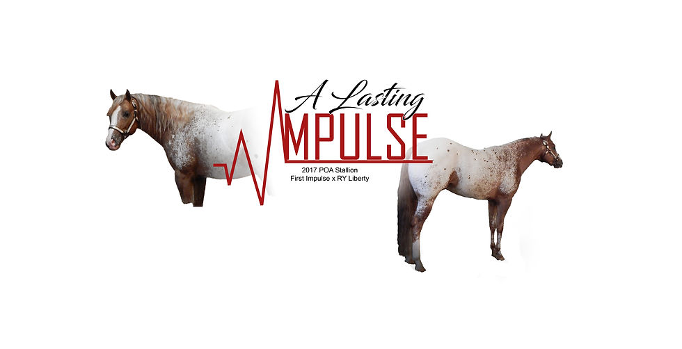 A Lasting Impulse1188x609.jpg