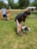 tumblr_1a8c11f03b763561bcd82355625c2eb9_3c2b4331_500
