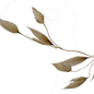 oats-947639_1920.png
