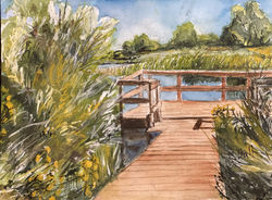 Audubon Nature Trail- Chatfield