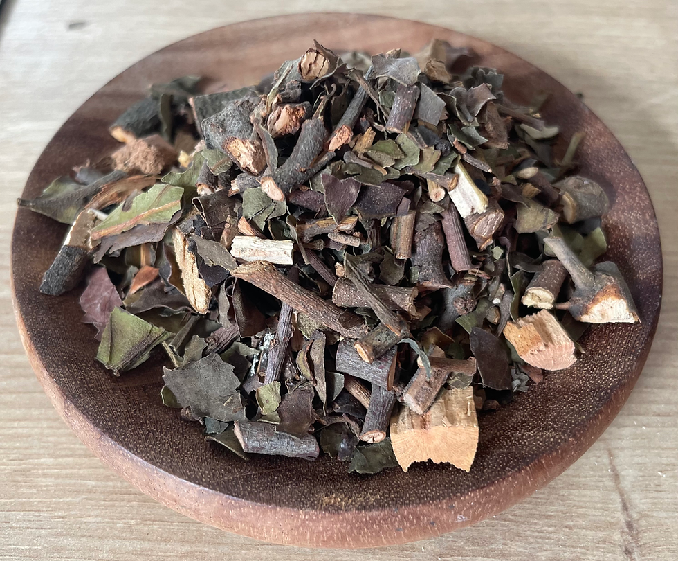 San Ji Shen (Taxillus / Mulberry Mistletoe)100g