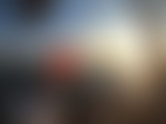 Erwerb des Schweizer Flaggenscheines