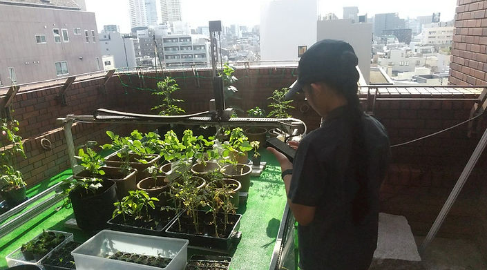 LINE_ALBUM_サマボラ2025_250724_5.jpg