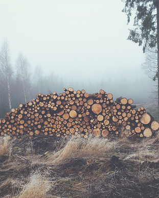 Stacked Wooden Logs