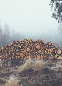 Gestapelte Holz-Protokolle
