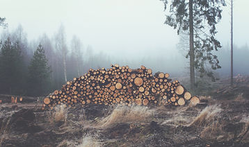 Gestapelte Holz-Protokolle
