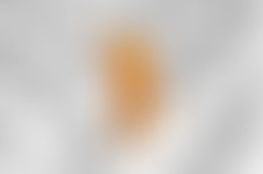 公會職務說明/晉升方式