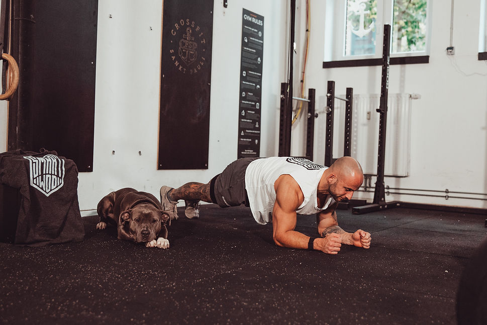 Plank4_H 2.jpg