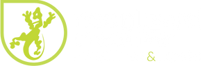 Neon Lizard Creativeâ„¢ Marketing and Design Minneapolis MN company logo