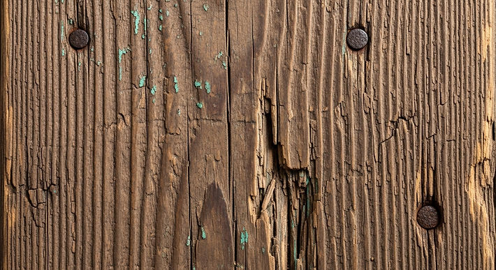 wood.jpeg