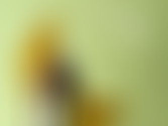 Cover Photo Diversity, Equity & Inclusion SPRING 2025