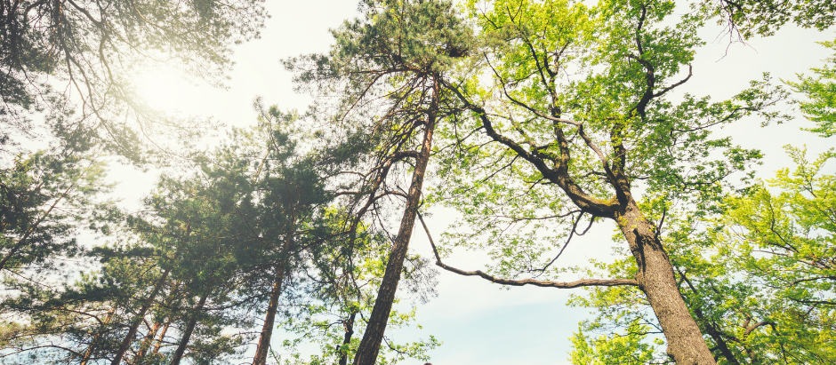 Five Benefits of Cultivating Awareness of the Present Moment