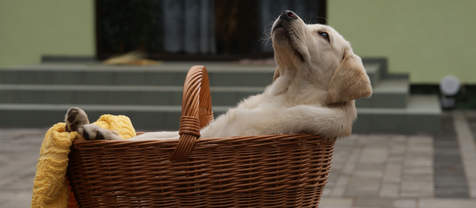 How to Incorporate Self-Care into Your Mental Health Routine