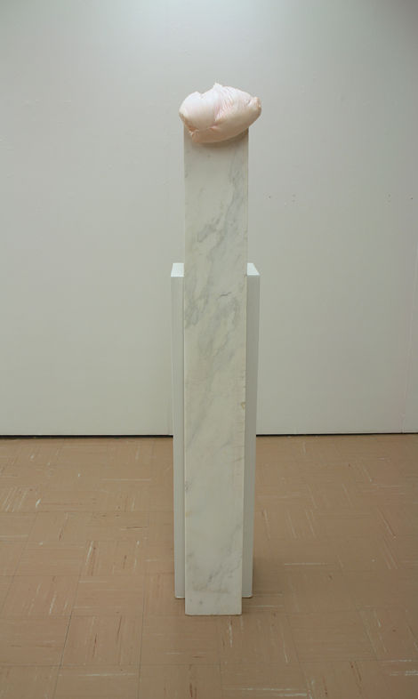LaBay Darrah_Marble and Plaster.jpg