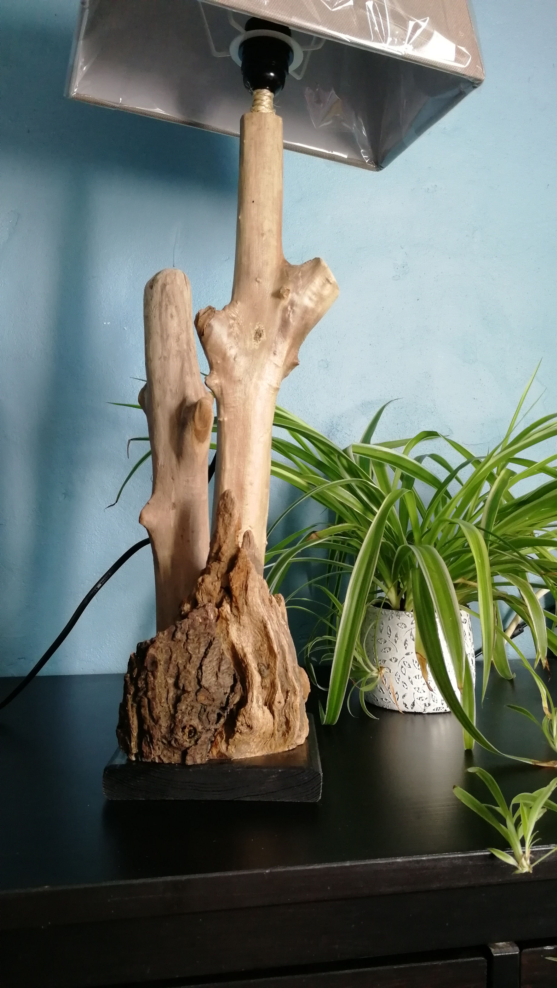 Lampe 1: 3 Bois Flottés