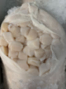 IMG_2695.jpeg