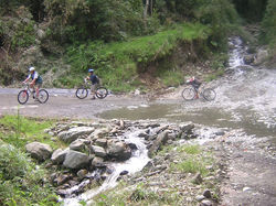 mountain_biking