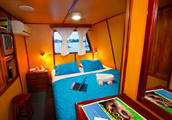 4-daphne-suite